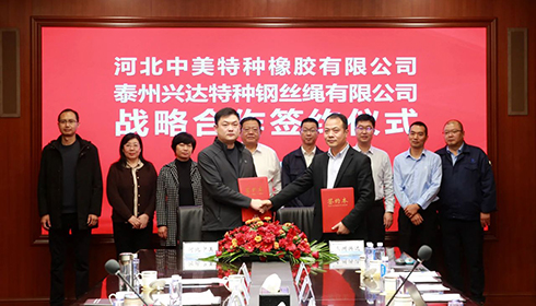 河北衡水市政企代表團蒞臨興達考察，興達&中美達成戰(zhàn)略合作！